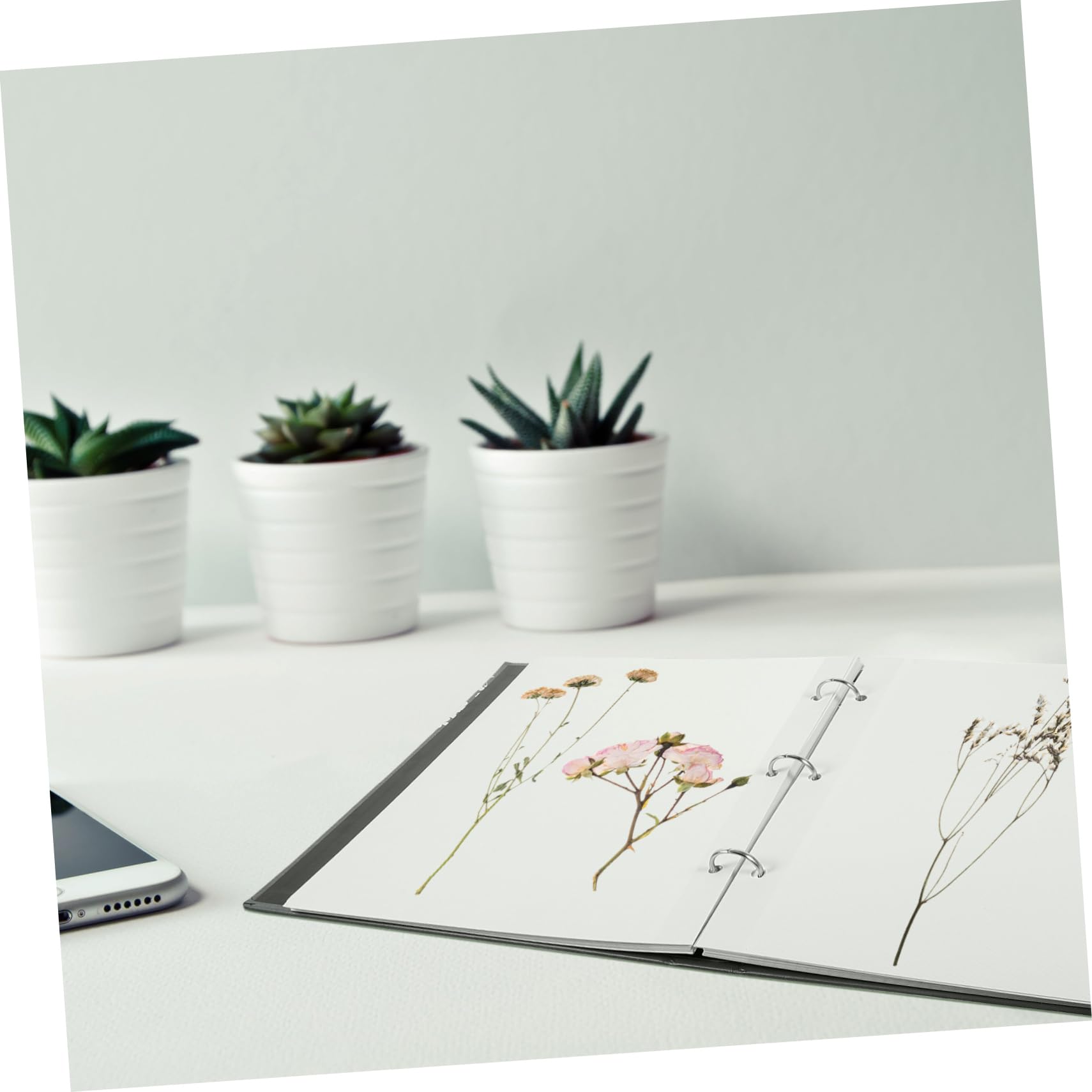 DIYEAH Album De Spécimens De Fleurs Séchées Cahier De Collection De Plantes Pressées Classeur Amovible Pour Souvenirs Et Exposition Des Spécimens Végétaux