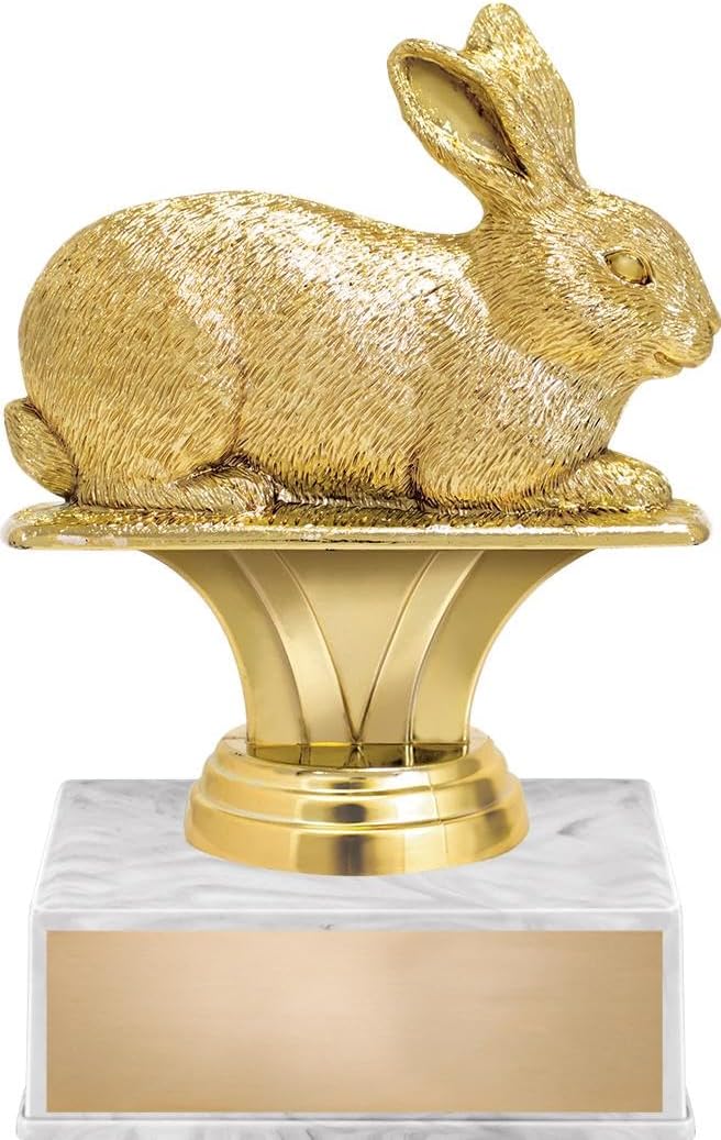 Amazon.com : Crown Awards 5.5