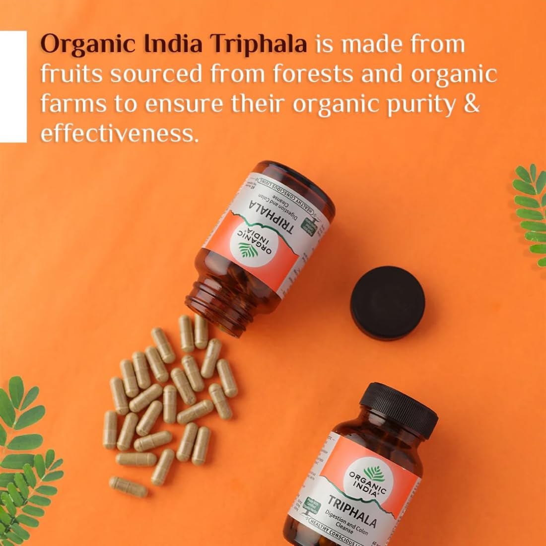 A TATA Product - Organic India Triphala Capsules - 60 Caps (Pack of 2), Supports Immune System, Colon & Digestion, Balanced Bowel & Gut Health, Contains Bioactives and Antioxidants product image 6