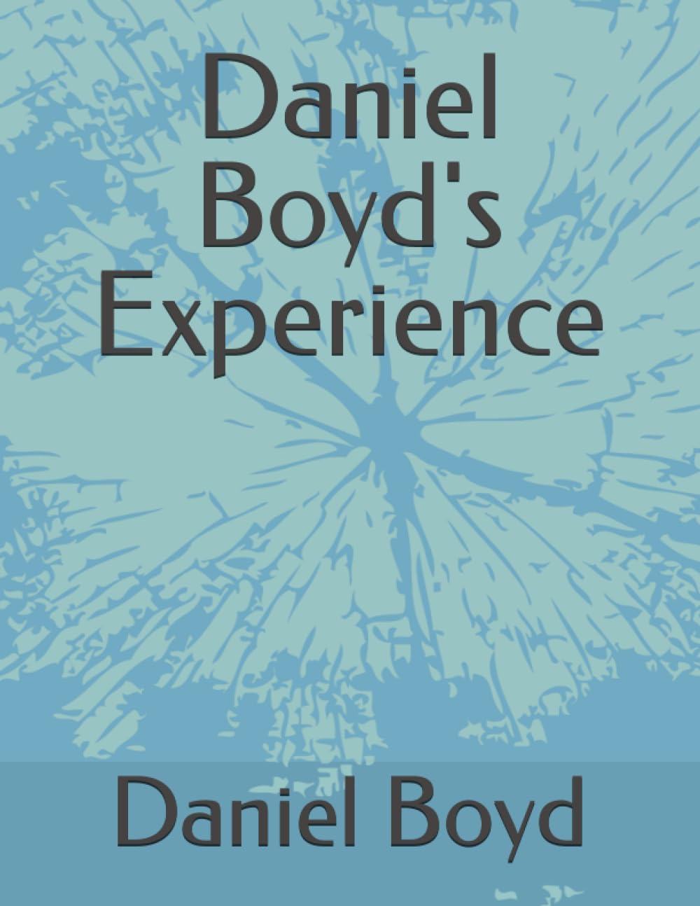 Daniel Boyd's Experience