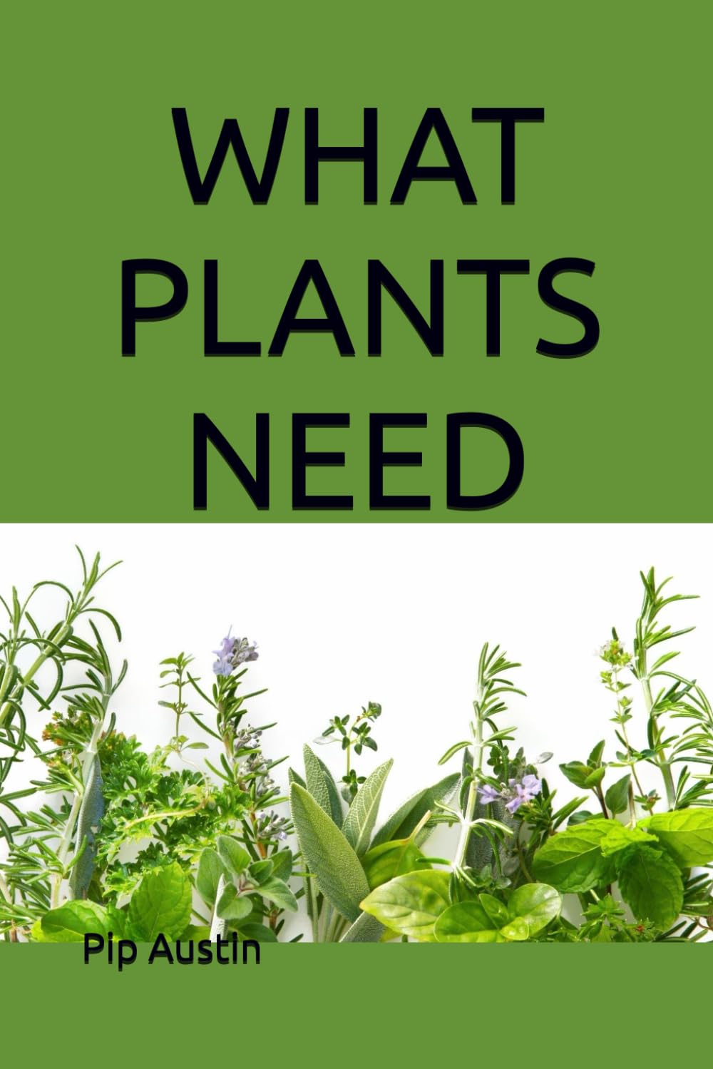 What Plants need: A fun guide to keep plants healthy