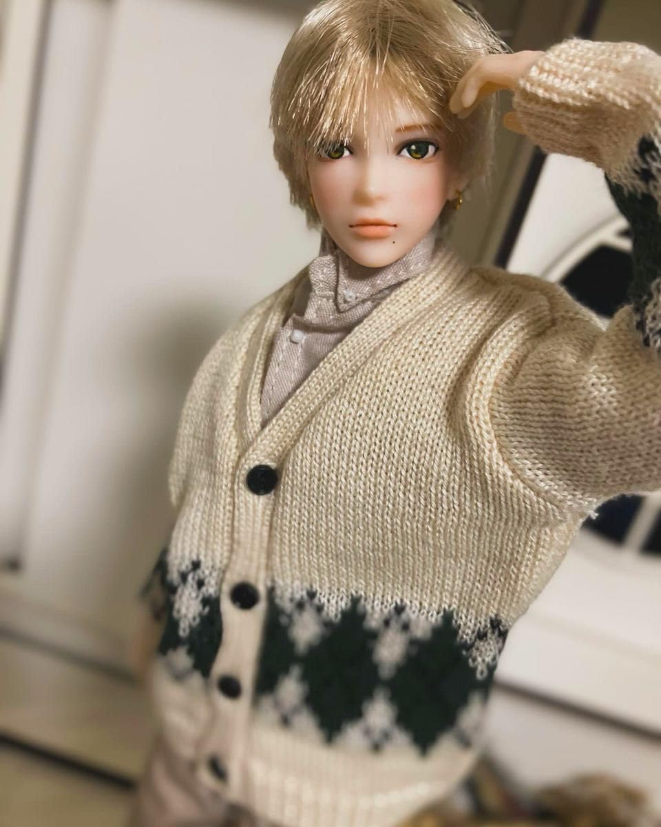 Amazon.co.jp: カスタムドール 六分の一男子図鑑エイトカスタム : おもちゃ 