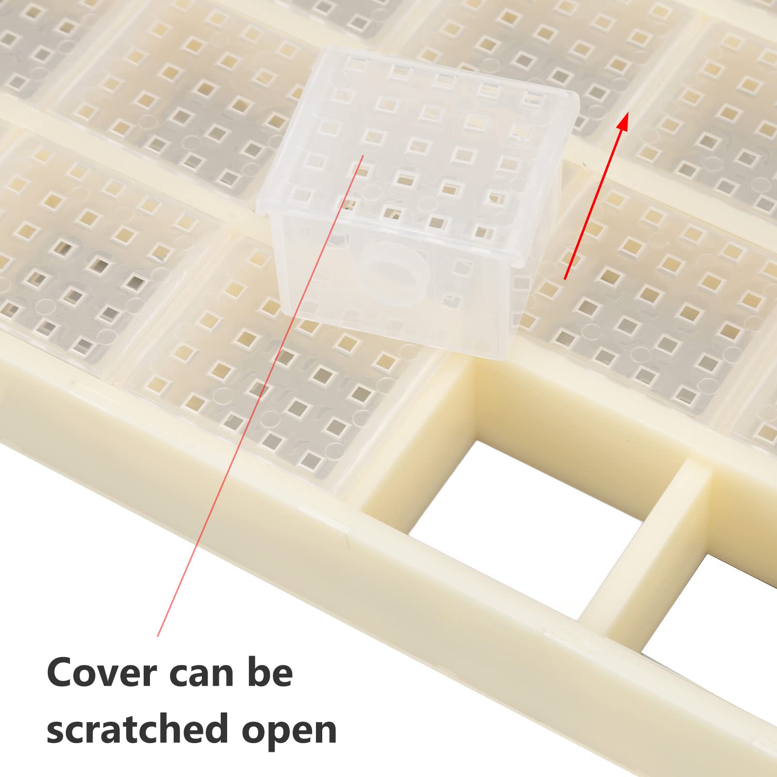 Cage à Reine des Abeilles, Boîte D'élevage D'abeilles, Cages en Plastique pour Reine des Abeilles, Attrape-repère de Marquage de la Reine des Abeilles, Attrape-apiculture pour la Solation de L'équipem