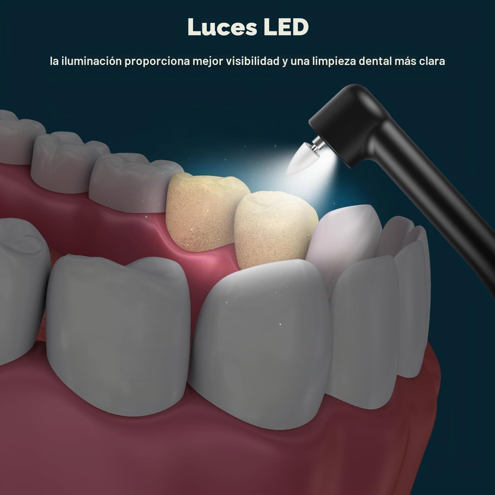 Pulidora de dientes eléctrica para eliminar manchas de placa con 6 cabezales - Quitamanchas dentales para blanquear los dientes amarillos