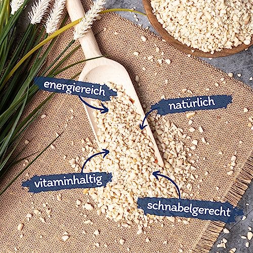 Lyra Pet® | 25 kg Erdnusskerne weiß gehackt | Ideal für Kleine Vögel & Jungtiere | Wildvogelfutter für Sommer & Winter | Fetthaltig & Nährstoffreich | Energiespender für Wildvögel | Gehackte Erdnüsse