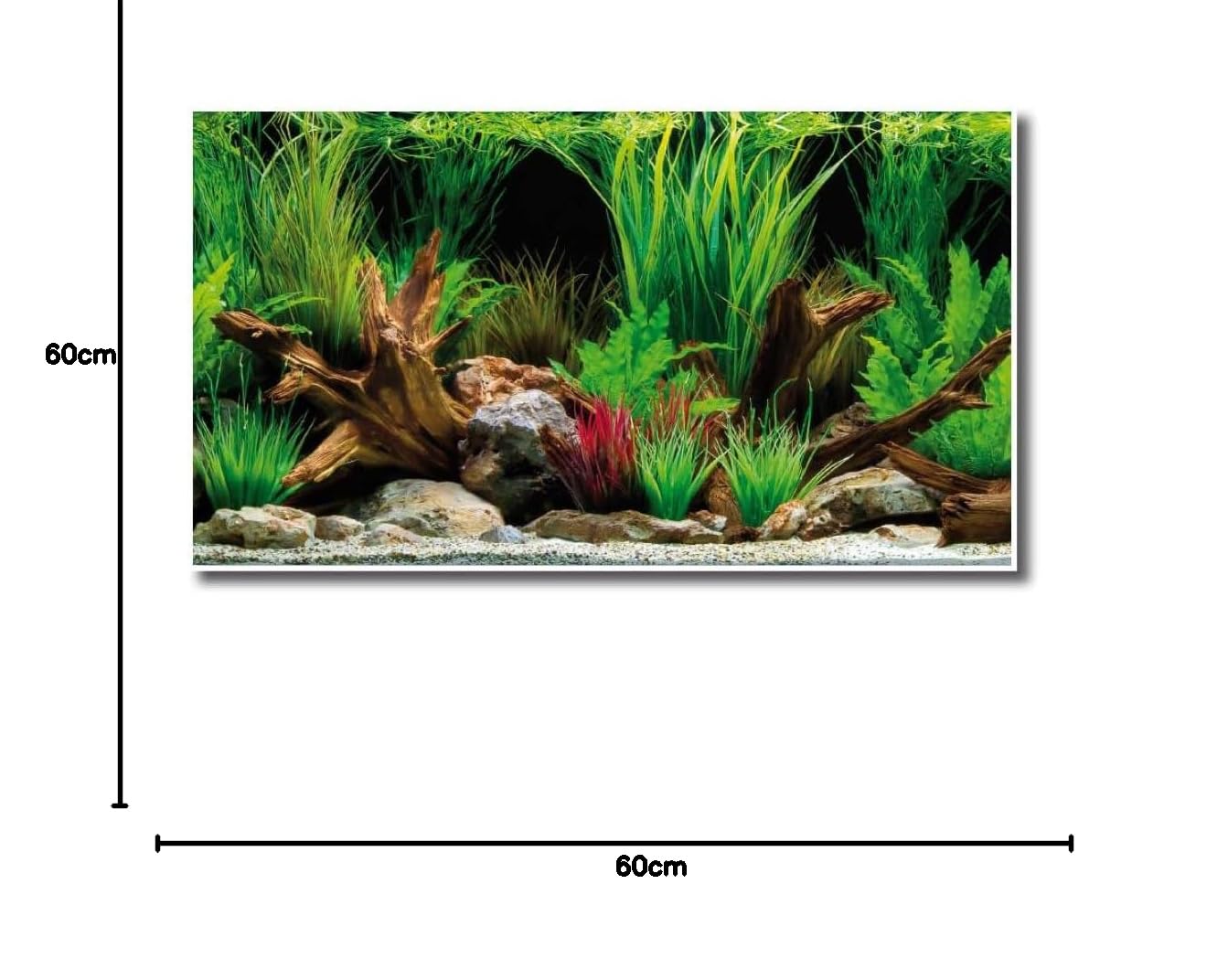 Amtra Wonder - Sfondo acquario, Poster decorativo per acquario con doppia stampa, Formato 60 X 150 CM