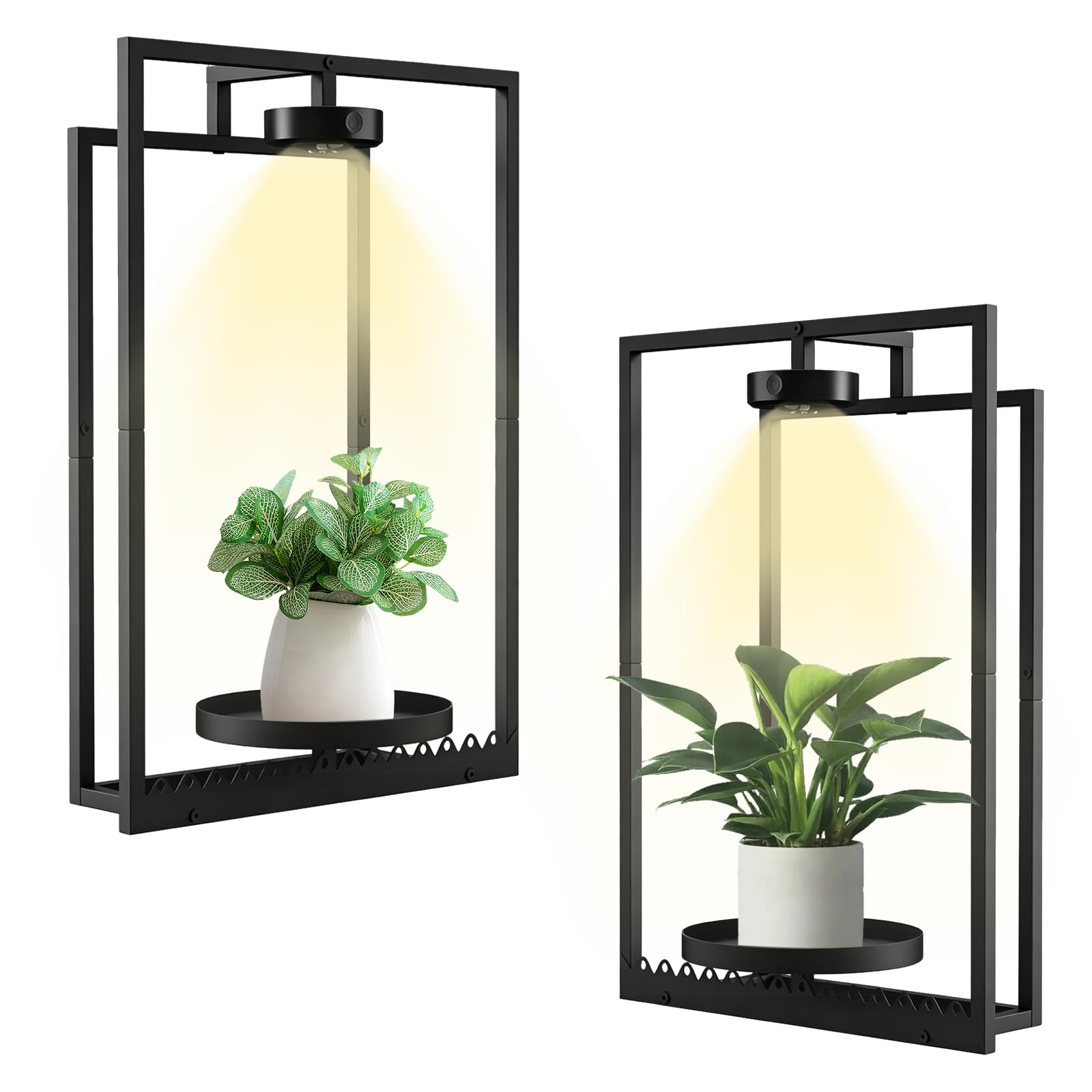 Lot de 2 supports de plantes suspendus en métal avec télécommande, cadre photo, support mural avec lumière de croissance, support mural pour fleurs, plantes, jardin, balcon (2 pièces)