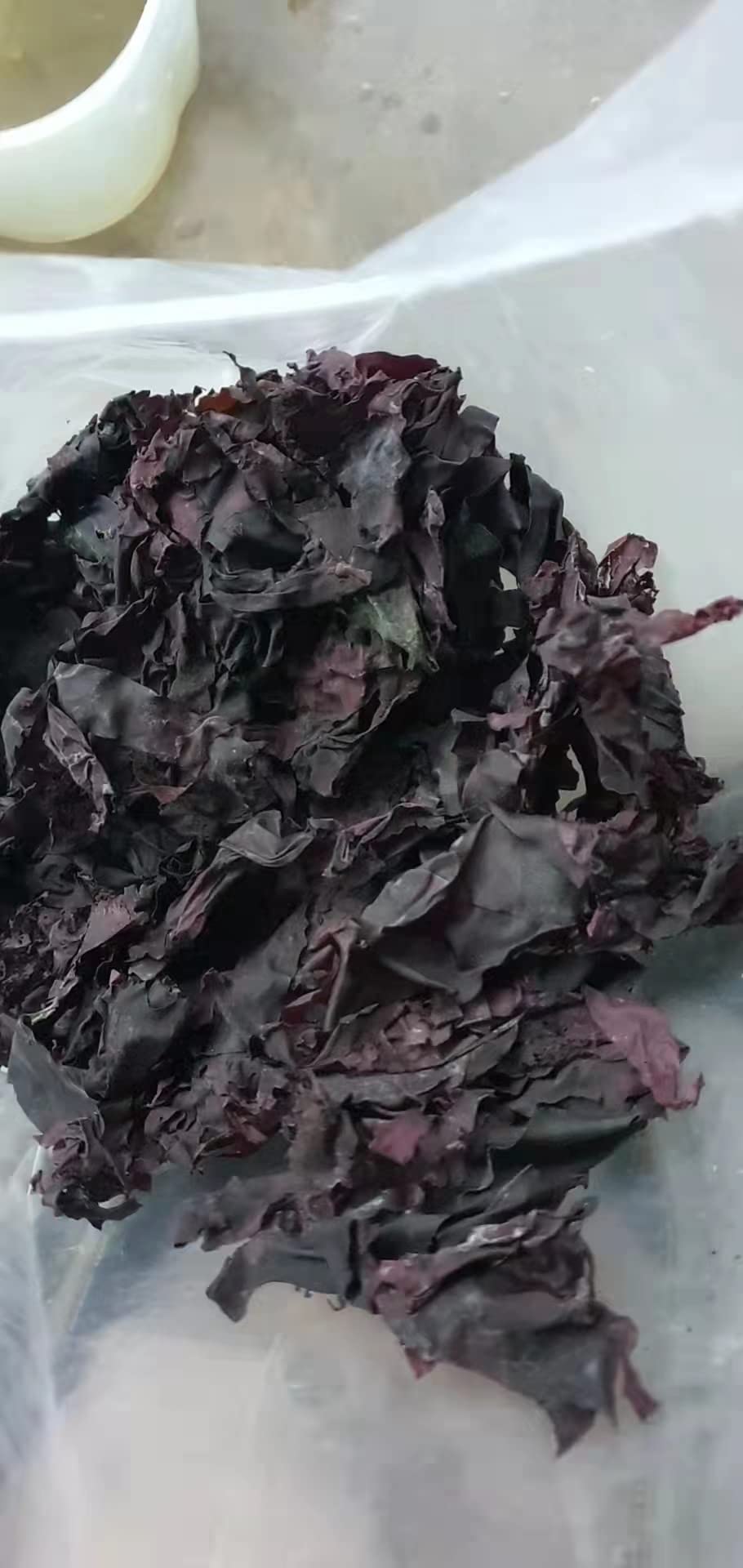 Dulse, Rhodymenia Palmata Flakes, Palmaria Palmata, Algas Dulse (2)