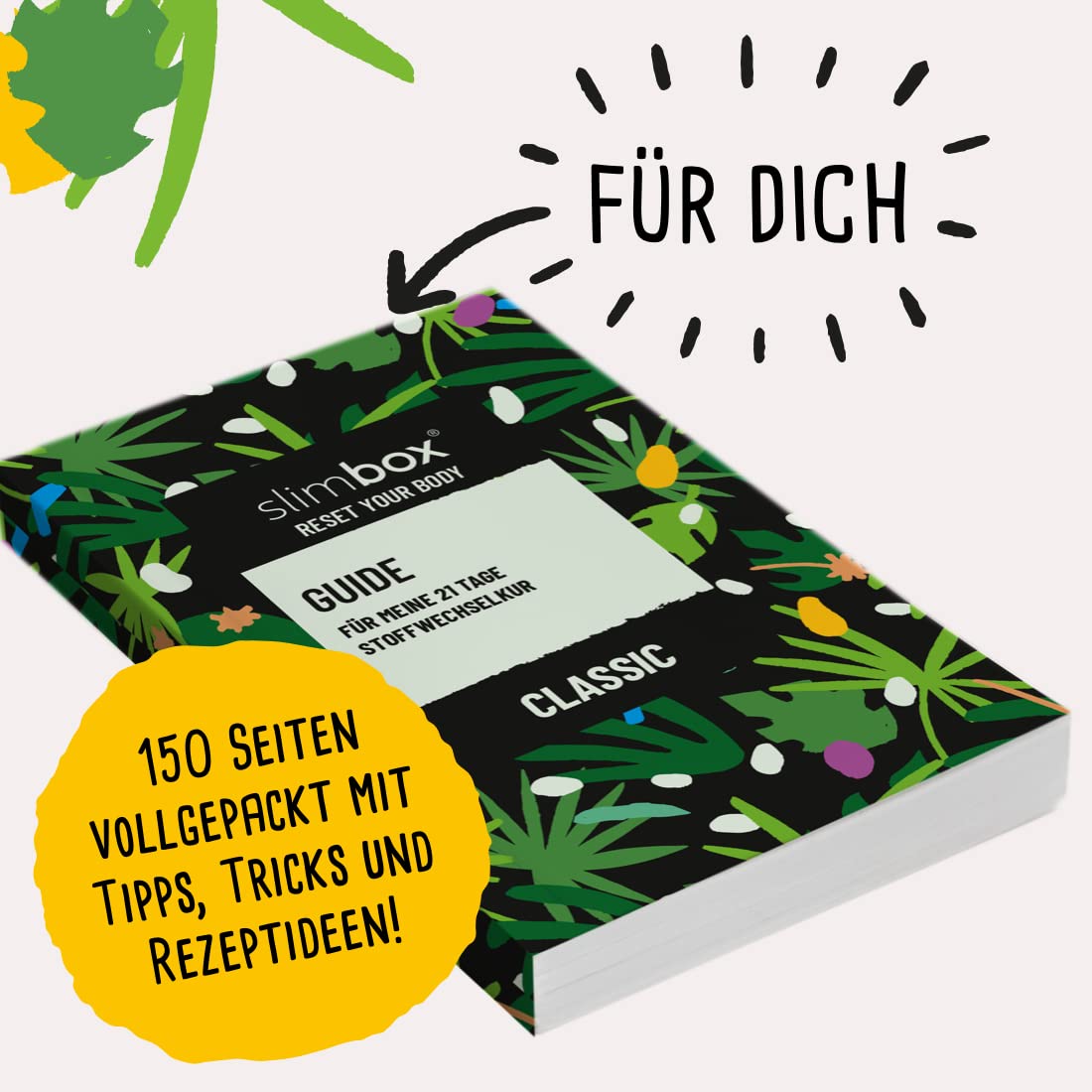 CLASSIC | 21 Tage Stoffwechselkur | Diät Set mit Eiweißpulver Vanille, 100% hormonfreie Saccharose-Globuli, Glucomannan, Flohsamenpulver, Omega-3, Multivitamine, OPC, MSM, Tee uvm.…