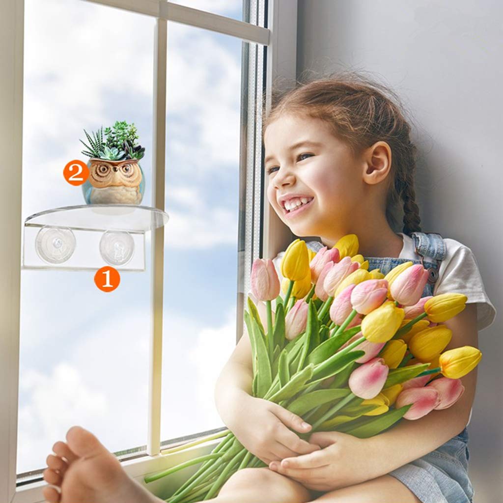 YARNOW Lot De 2 Supports Pour Plantes Aquatiques Avec Ventouses - Noir