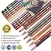 PANDAFLY Professional Colored Charcoal Pencils Drawing Set, Skin Tone Colored Pencil, Pastel Chalk Pencils for Sketching, Shading, Coloring, Layering & Blending, 12 Colors