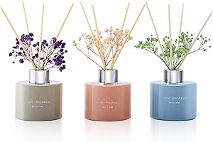 Aromatic Haven: Diffuser Kit for Tranquil Ambiance