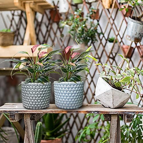 TENLOY Ceramic Pots for Indoor Plants , 6 inch Glazed Raised Footed Planter Stoneware Flower Pots Relief Ice Cracked Succulent Plant Pot with Drainage Hole for Gardening Home Windowsill Dec