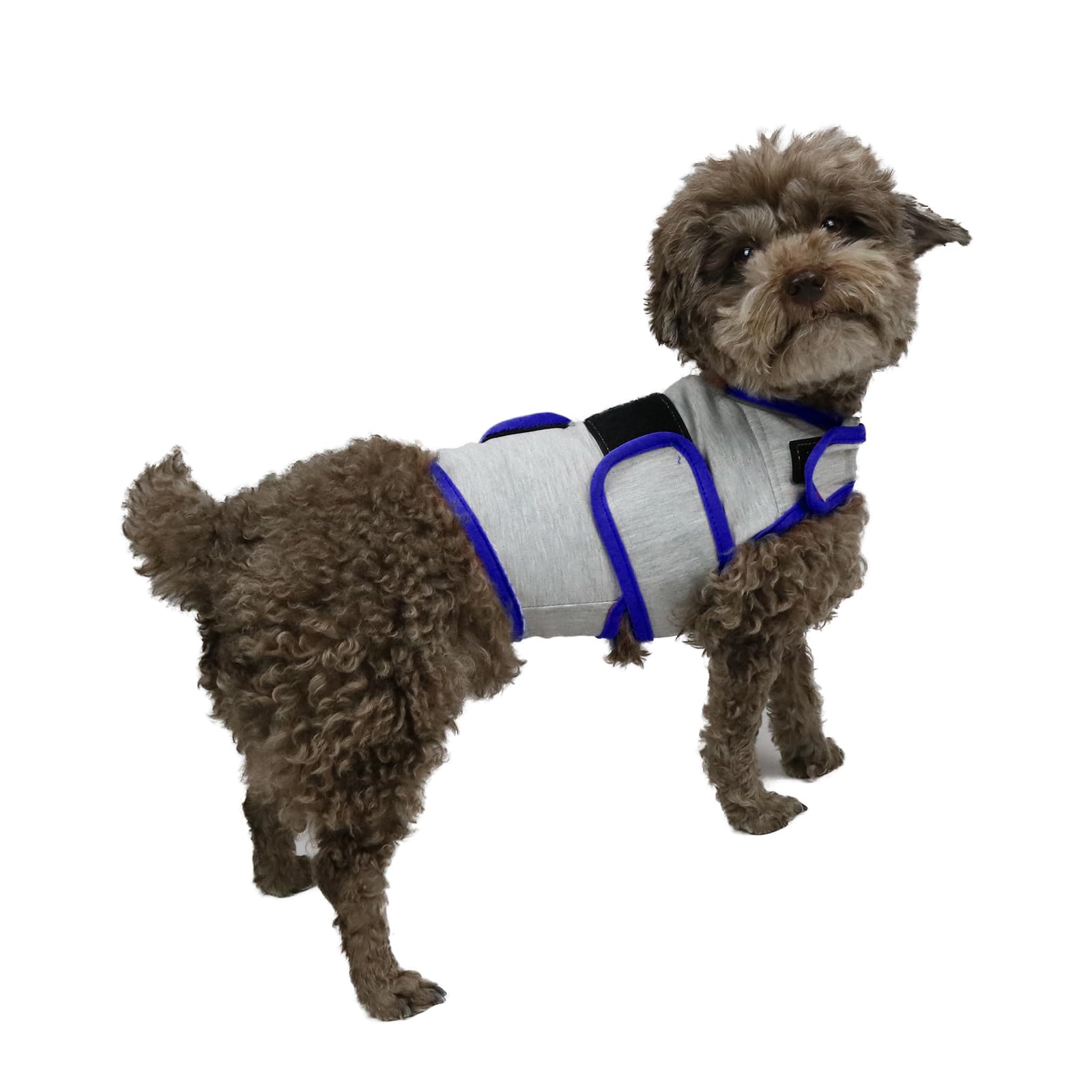 Dog Anxiety Relief Vest - Breathable Calming Coat for Thunderstorms, Travel, Fireworks & Vet Visits (S, Light Grey)