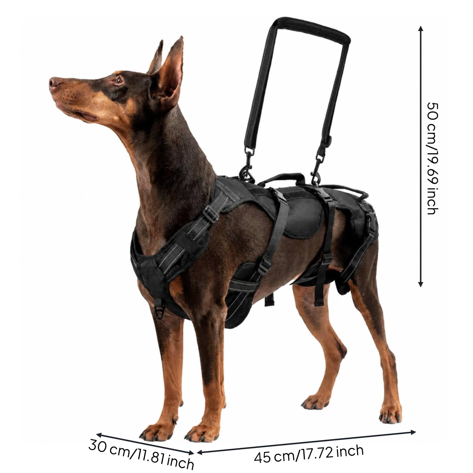MagiDeal Fascia di Assistenza per Cani Lavabile | Regolabile, Imbracatura di Supporto e Sollevamento per Cani, Resistente, Imbracatura Riabilitazione, Nero, M
