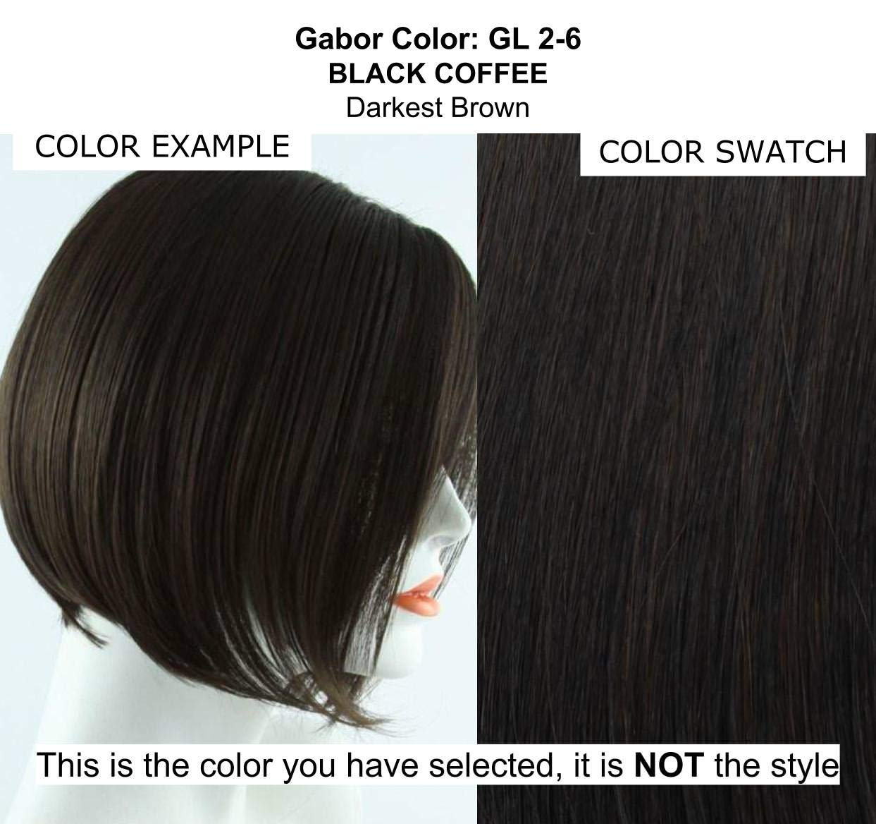 Bundle - 5 Items: Soft and Subtle PETITE-AVERAGE CAP Wig by Gabor, Christy's Wigs Q & A Booklet, 2oz Travel Size Wig Shampoo, Wig Cap & Wide Tooth Comb - Color: GL2-6