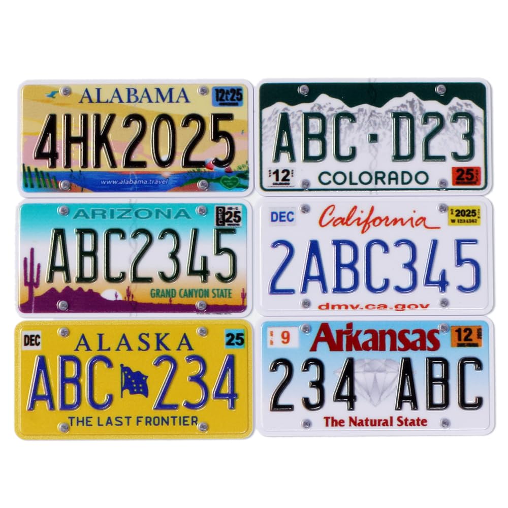 Custom US 50 States RC Car License Plate Compatible with Scale Model Car 1/8 1/10 1/12 1/14 1/16 1/18 1/24 2Pieces