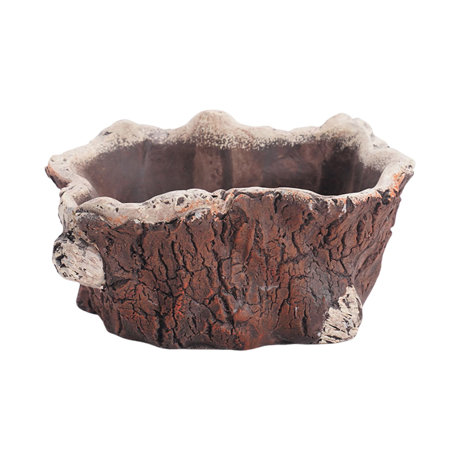 Hsioluted Cement Pots Unique Tree Root Shaped Plant Container Decorative Planter for Home Table Desk Decoration