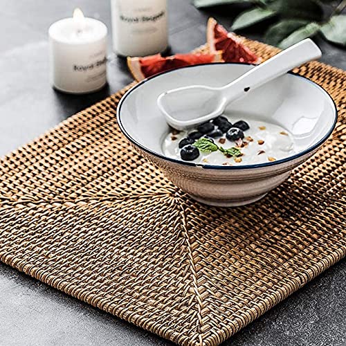 2 Stück Tischsets, nicht Rattan, Esstisch, hitzebeständig, gewebt, isoliert, hitzebeständige Matten