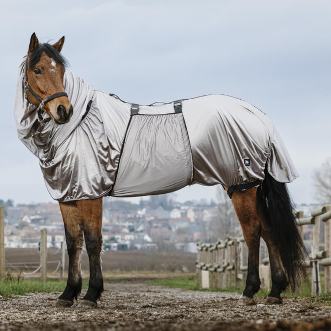 Riding World - Ekzemerdecke | Fliegendecke mit abschwitzender Wirkung | Pferdedecke mit Bauchlatz & verstellbaren Riemen & Bändern | Abschwitzdecke Pferd & Pony | Stalldecke in Grau | 145 cm