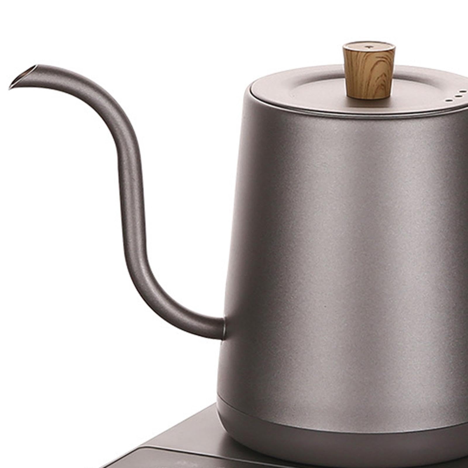Hervidor Eléctrico de Cuello de Cisne, 1 Litro de Acero Inoxidable, Tetera Ligera para Café, Oficina, Hogar, Exterior, Picnic- Gris