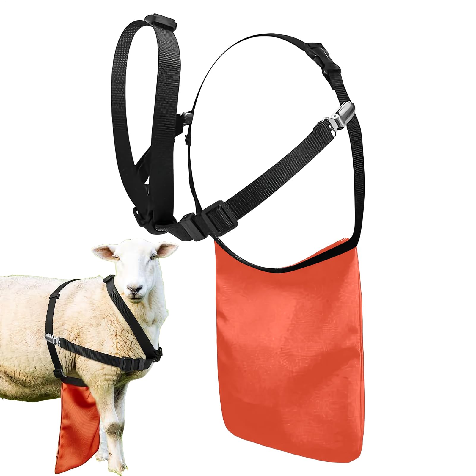 Tablier anti-élevage pour moutons avec sangle réglable - 8