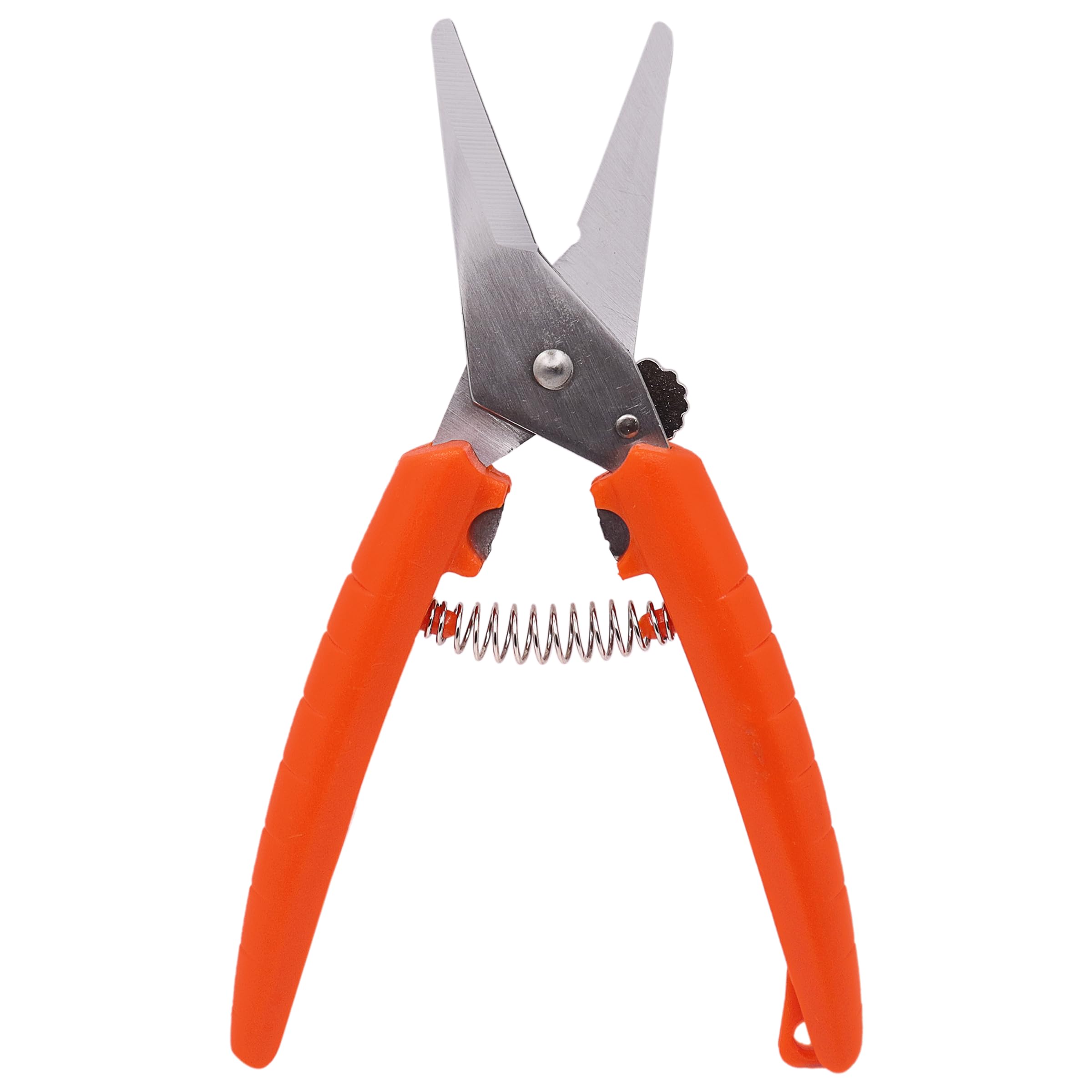 forteシザー Amazon.com : HASHIMOTO Curved Thinning Shears for Dogs