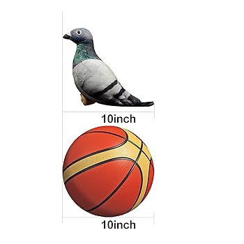 Amazon.co.jp: ZHONGXIN MADE 鳩ぬいぐるみカワバトぬいぐるみ