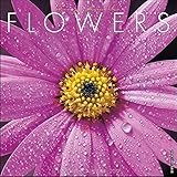 Flowers 2017 Wall Calendar
