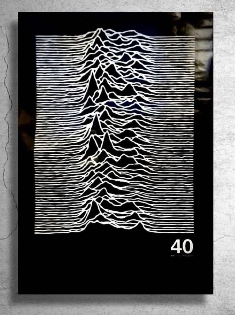 JOY DIVISION UNKNOWN PLEASURES ポスター Amazon.co.jp: joy division unknown pleasures ポスター : おもちゃ
