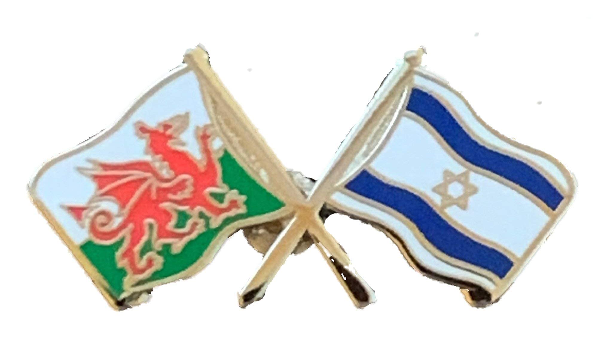 Wales & Israel Flags Friendship Courtesy Enamel Lapel Pin Badge T458