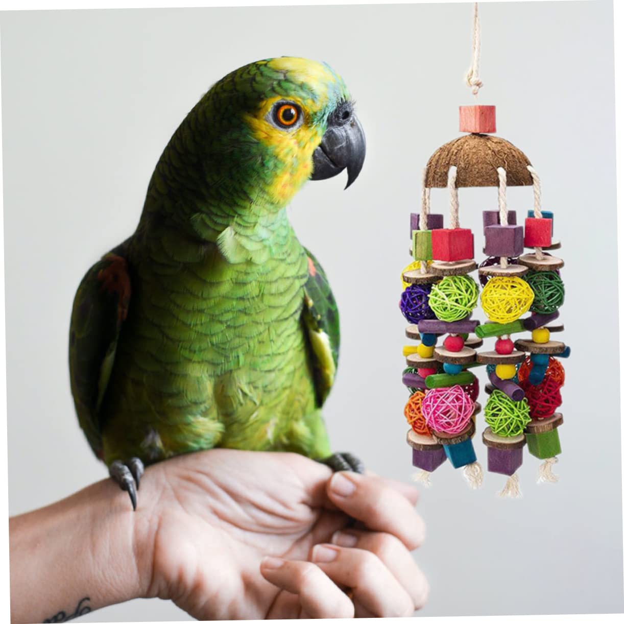 Jouet pour Perroquet Bois Suspendu Accessoire Noix De pour Oiseaux Jouet Jeu pour Cages De Oiseaux