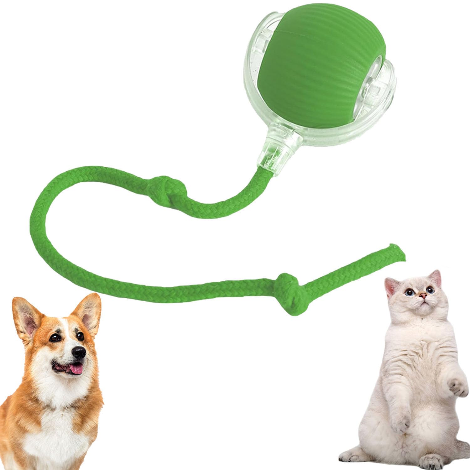 Chewie Viral Rolling Ball for Cats & Dogs, Interactive Smart Ball Toy, 360° Automatic Rolling, Large & Small Pets (Green)