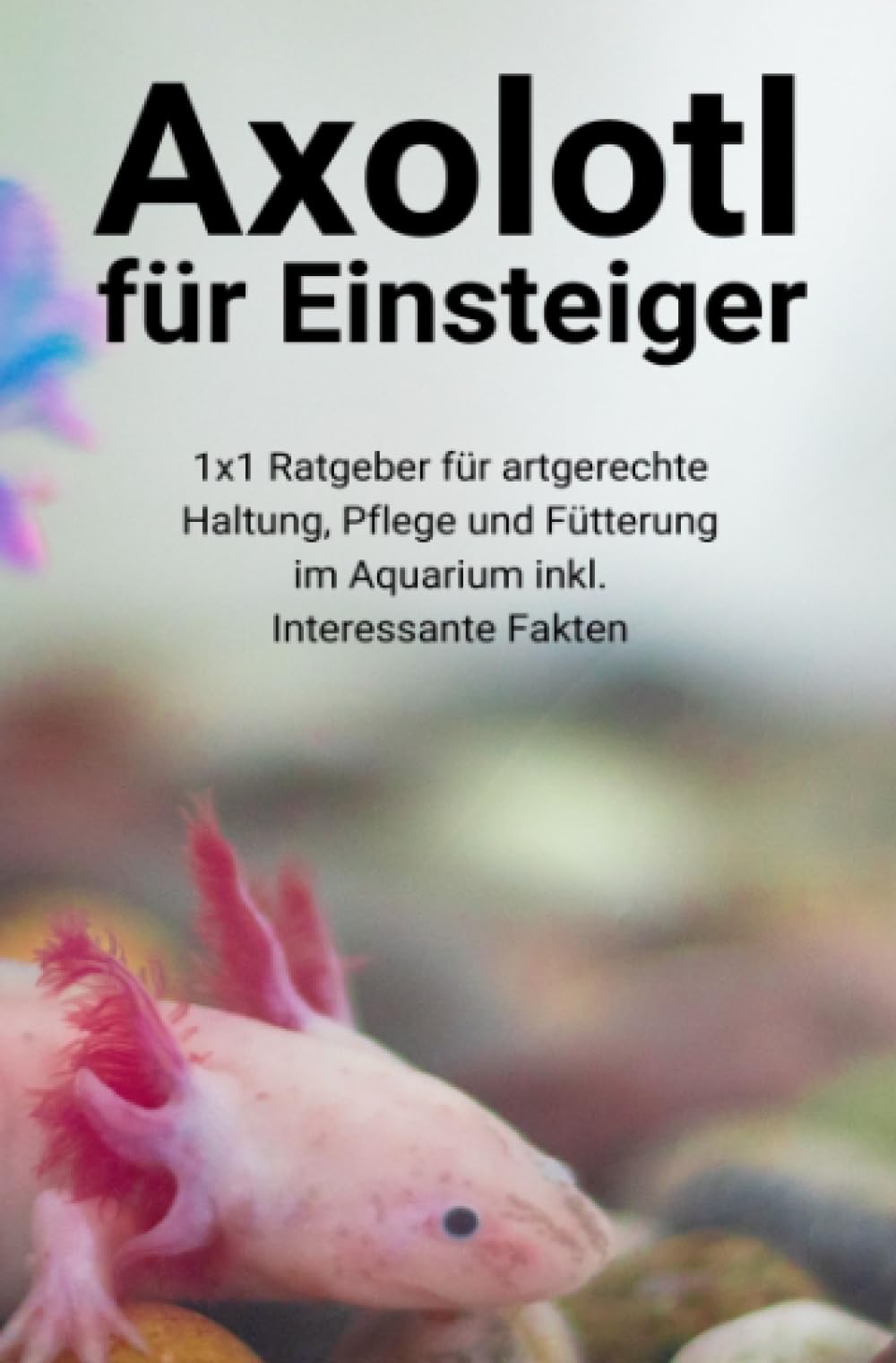 Axolotl + Einsteiger-Ratgeber + Grundlagen zur Haltung, Pflege und Fütterung im Aquarium