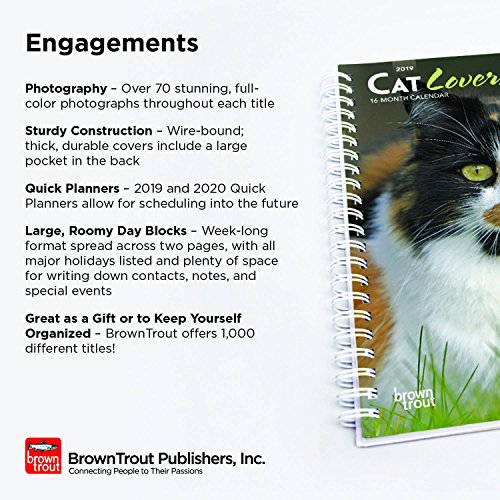 Labrador Retrievers 2019 6 X 7.75 Inch Weekly Engagement Calendar, Animals Dog Breeds Retriever #TOP4