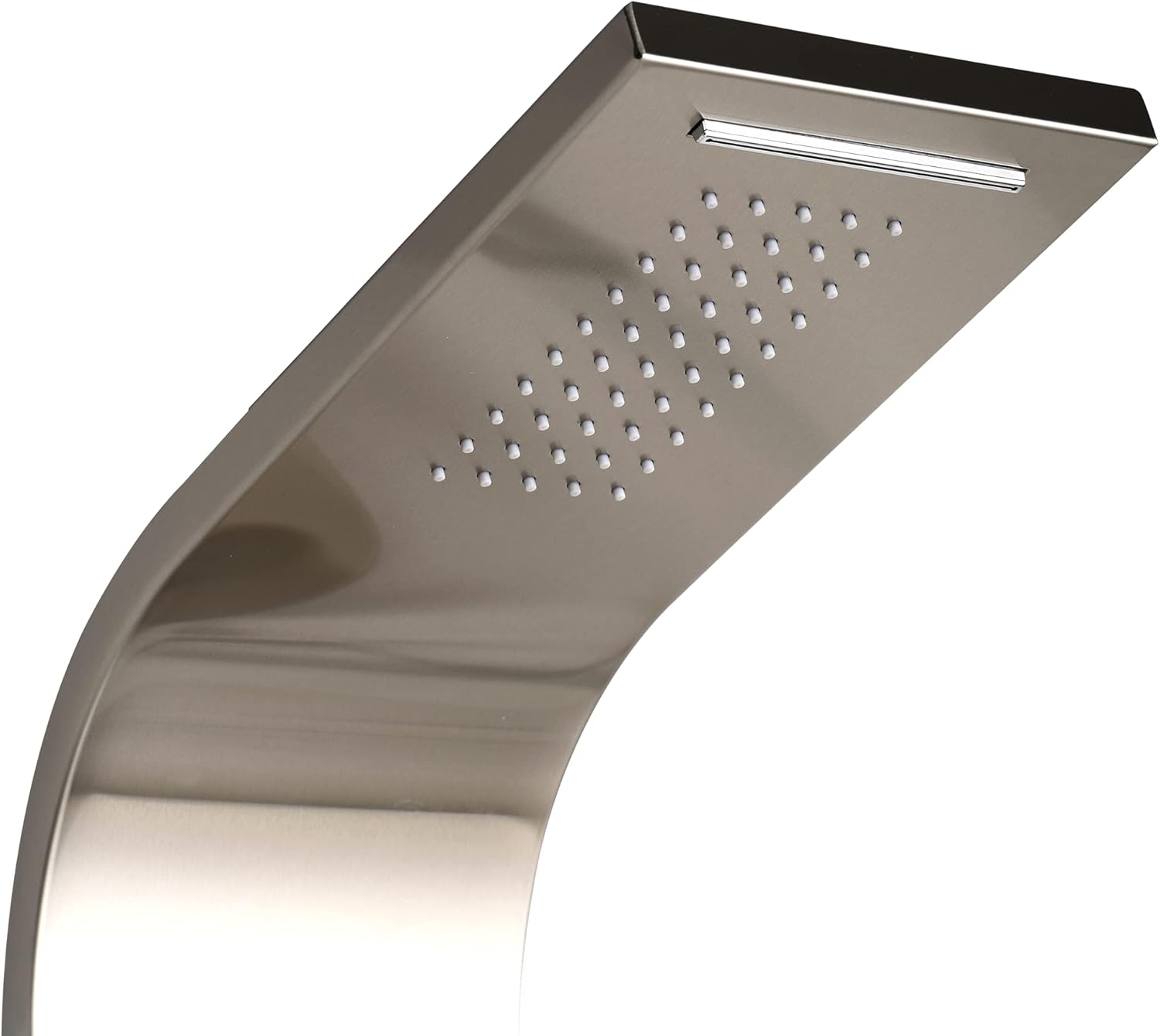 Close-up of the overhead showerhead