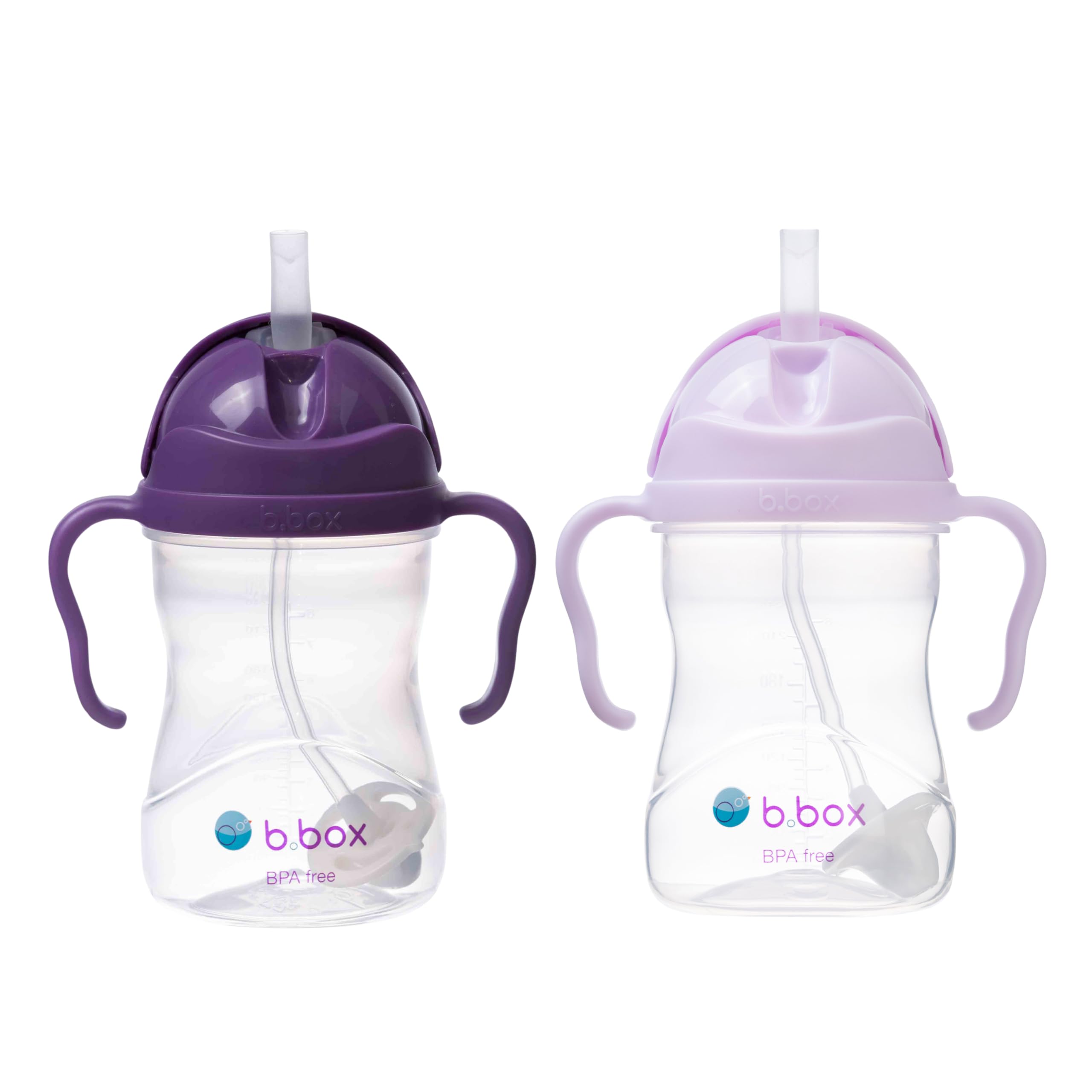 b.Box Sippy Cup with Weighted Straw for 6 Month Plus Babies to Toddlers, Grape/Boysenberry, 240 ml Capacity (Pack of 2) - Grape + Boysenberry