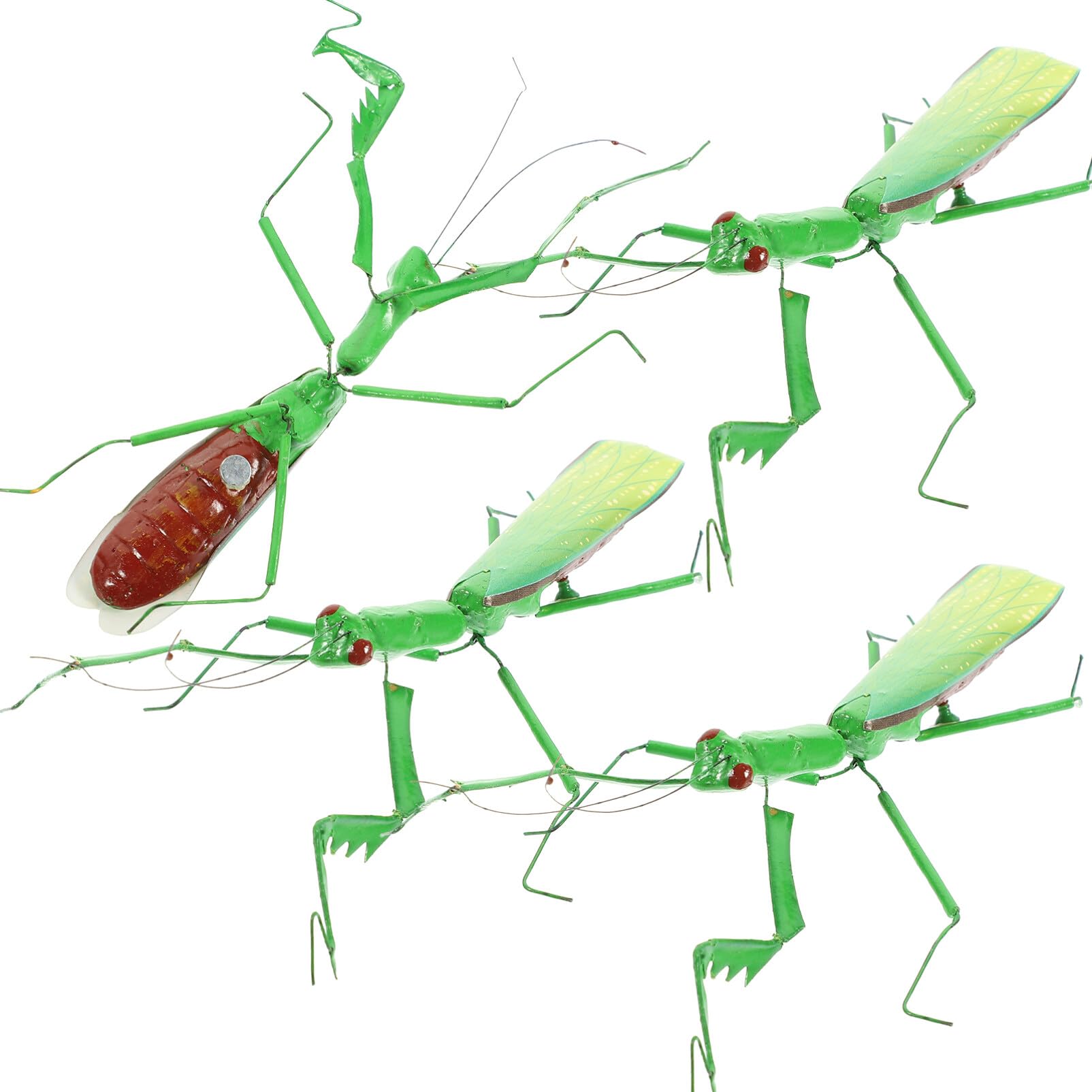 Amazon.co.jp: Toddmomy カマキリ モデル シミュレーション カマキリ