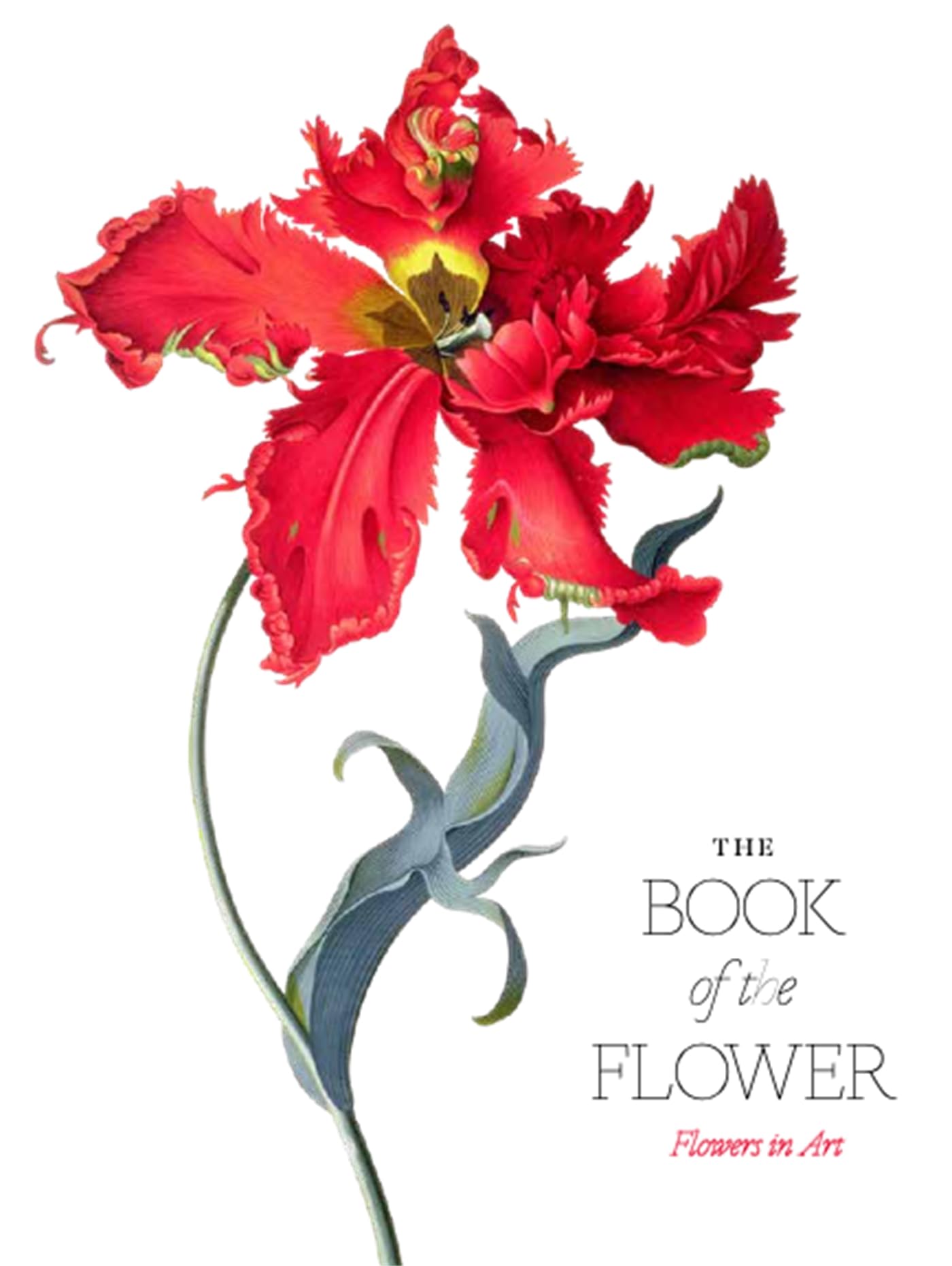 The Book of the Flower: Flowers in Art Paperback – Illustrated, 1 April 2019