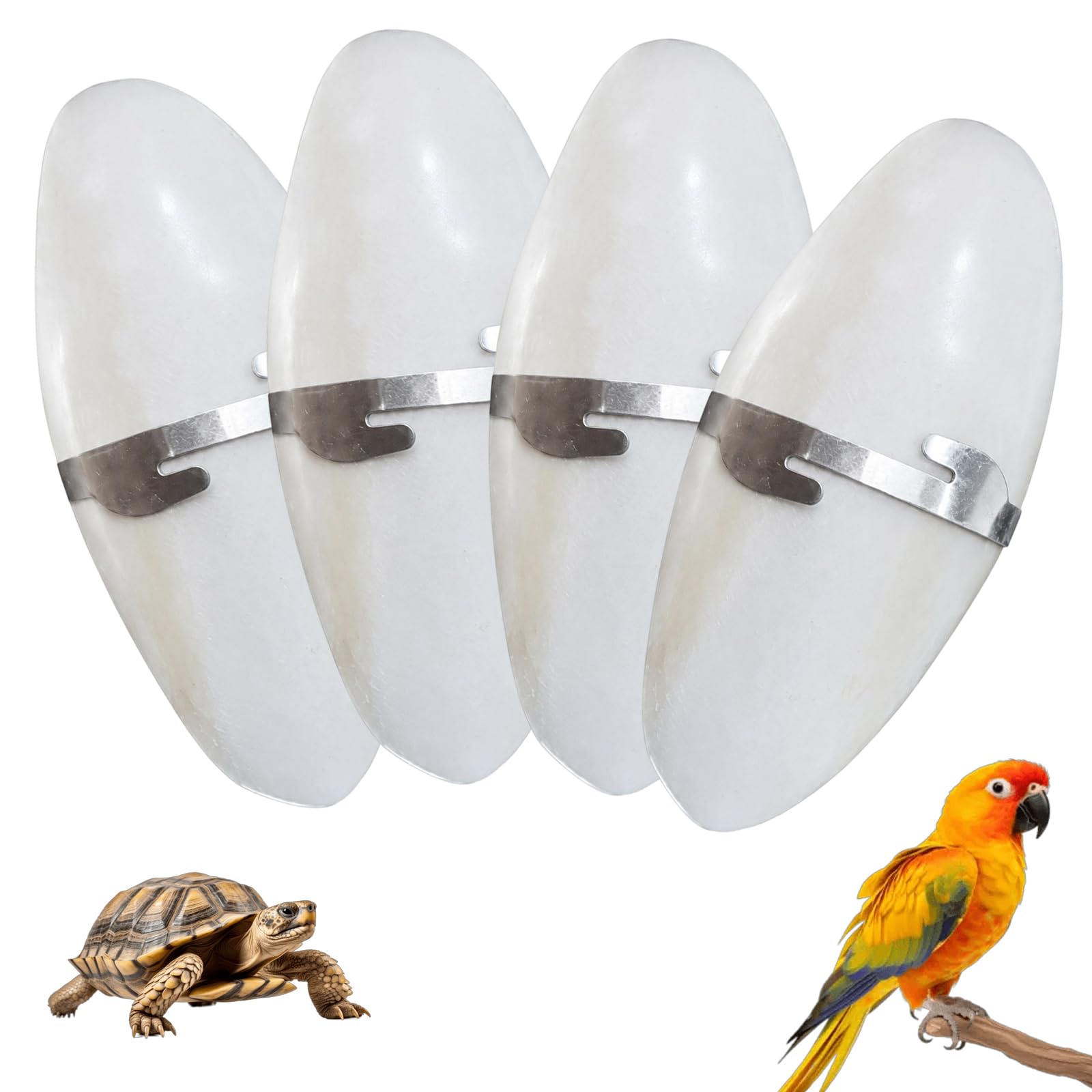 QhgPnt 4-Pack Cuttlefish Bone for Birds, Natural Cuttlebone with 4 Dedicated Metal Holders, Parrot Chew Toys for Parrots, Budgies and Finches, for Beak Trimming and Secure Cage Mounting(11-12cm)