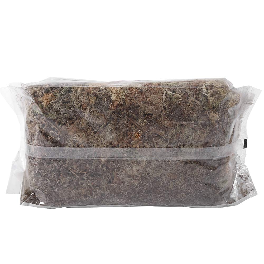 Mousse De Sphaigne Fibreuse 6L – Musc Sphagnum Sec Pour Orchidée Phalaenopsis, Plantes Carnivores, Substrat Naturel