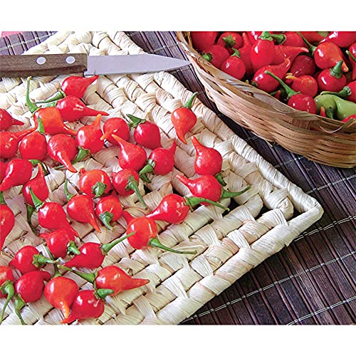 Sementes de Pimenta Biquinho Pcte C/ 50 Gramas