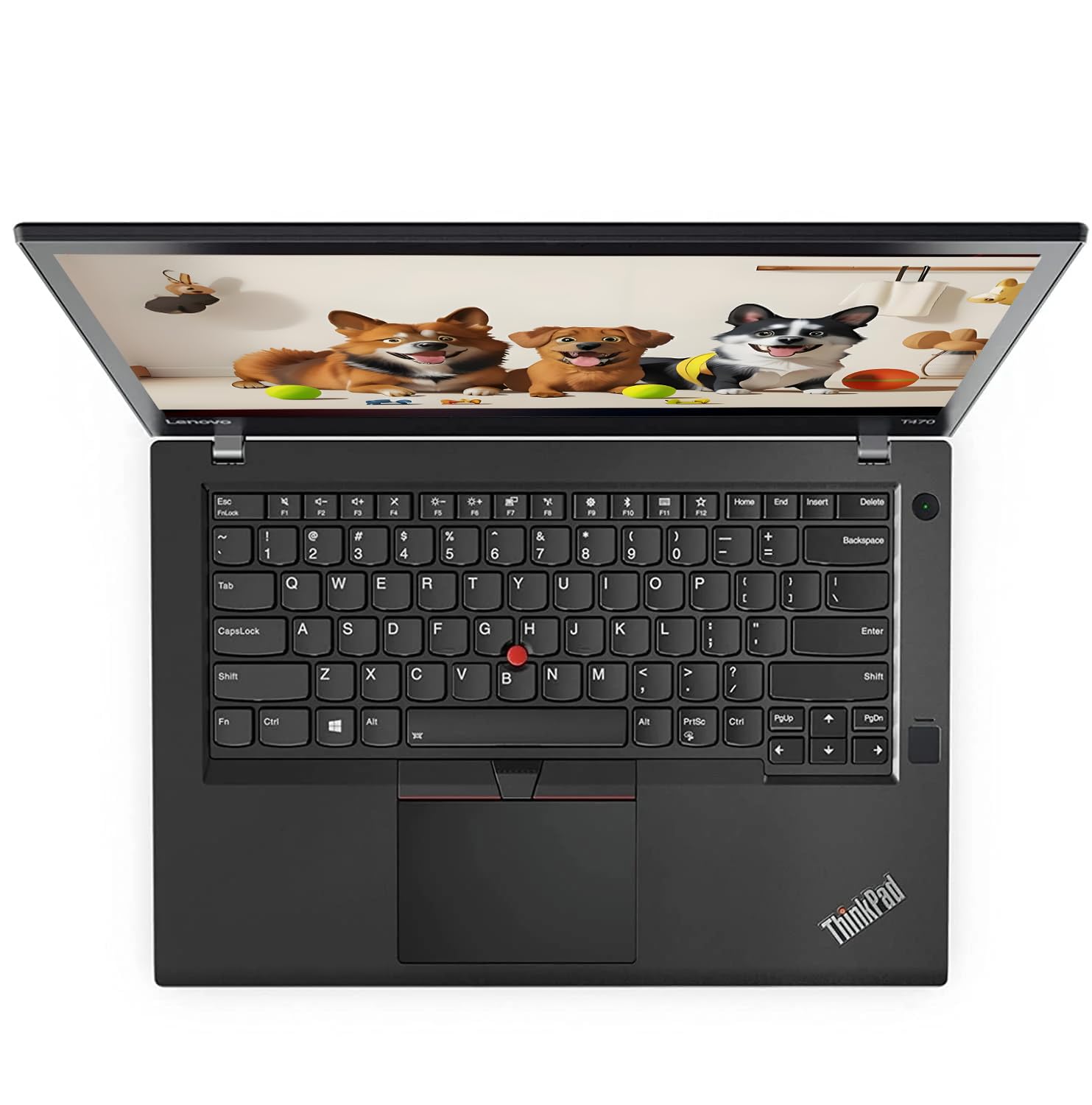 Lenovo ThinkPad T470 Computer portatile aziendale, 35,6 cm (14") (1366 x 768), Intel Core i5-6300U, 16 GB di RAM, 256 GB di SSD, Tastiera QWERTY, Windows 11 Pro (Ricondizionato)
