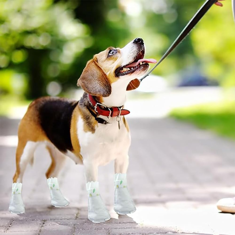 Lot De 20 Paires De Chaussures Jetables Pour Chien, Protection Des Pattes, Chaussettes Pour Animaux De Compagnie, Résistantes à La Saleté, Imperméables, Bandages Auto-adhésifs Réglables, Couvre-pieds