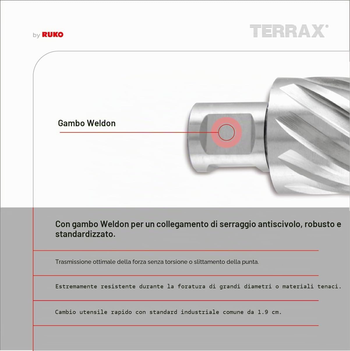 TERRAX Set di Punte a Tazza (Kernbohrer) HSS con Attacco Weldon 3/4”, Profondità di Taglio 30 mm, Set Industriale 7 Pezzi con Espulsore – Per Acciaio e Metallo