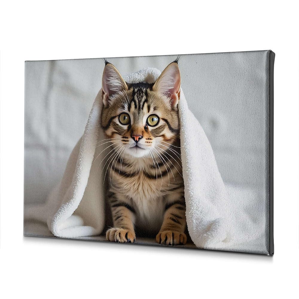 Toile chat dans sa serviette pour décoration salle de bain cosy