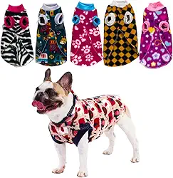 Kit Roupa para Cachorro Roupinha Pet de Frio Conforto Cães de Pequeno Médio Grande Porte (Macho, 06)