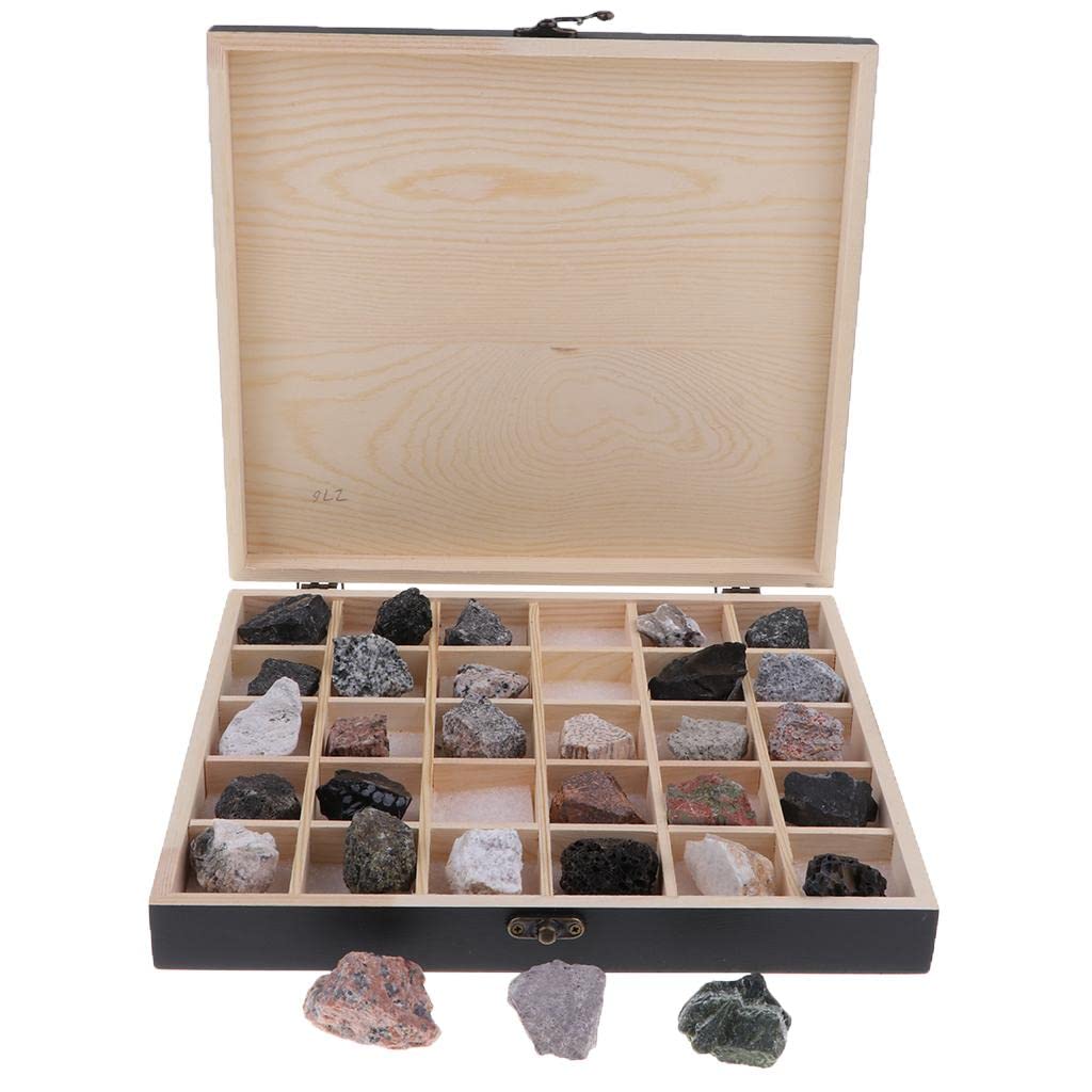 Colcolo Geological Science Kit Igneous Magmatic Rock Teaching Material