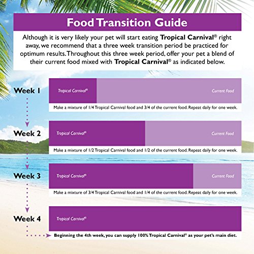 Tropical Carnival 446851 F.M. Brown'S Tropical Carnival, Gourmet Macaw Food Big Bites thumb #8