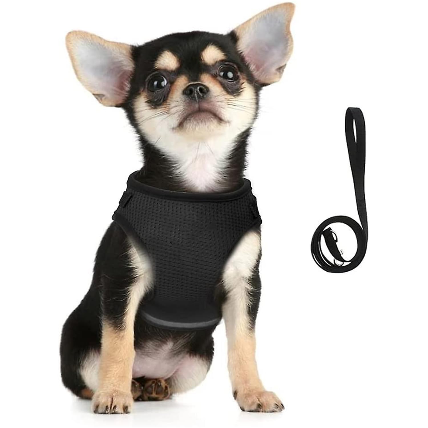 Kuber Industries Dog Chest Harness with Nylon Leash I No Pull, Soft Padded and Breathable Dog Vest I Adjustable, Reflective I Easy Control Dog Chest Belt I (Small, Black) (B0BLSTXMS7) Amazon Price History, Amazon Price Tracker
